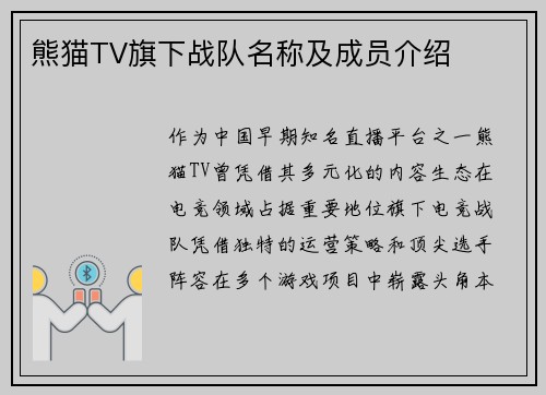 熊猫TV旗下战队名称及成员介绍